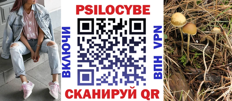 Псилоцибиновые грибы прущие грибы Бахчисарай
