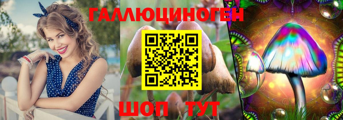 Галлюциногенные грибы GOLDEN TEACHER Бахчисарай